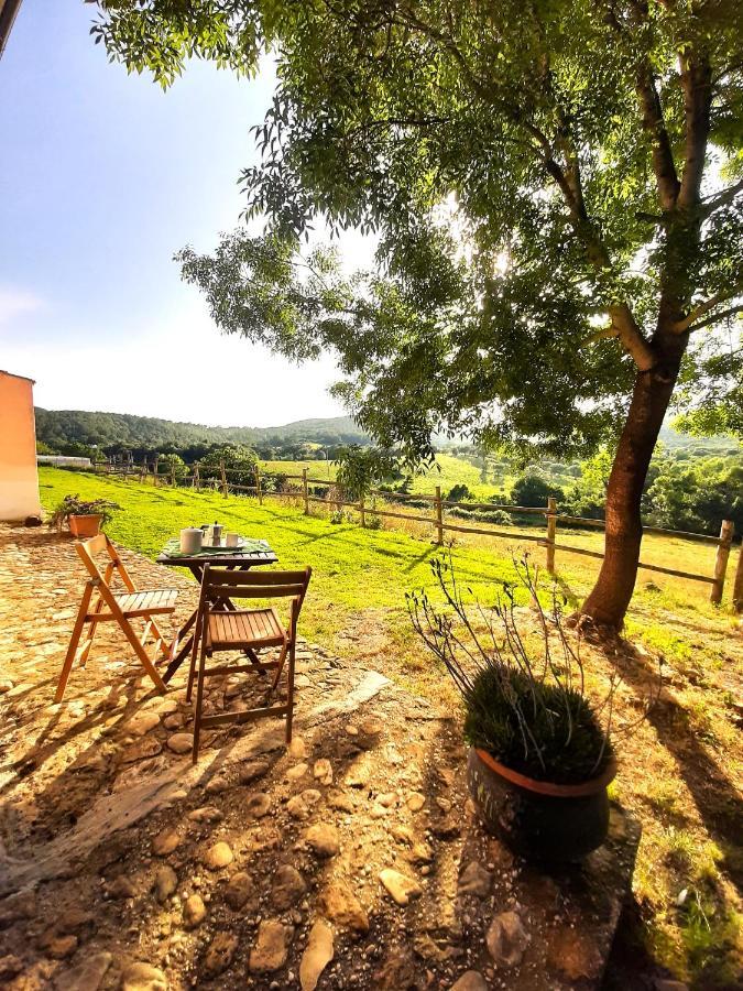 Agrihouse Βίλα Bracciano  Εξωτερικό φωτογραφία