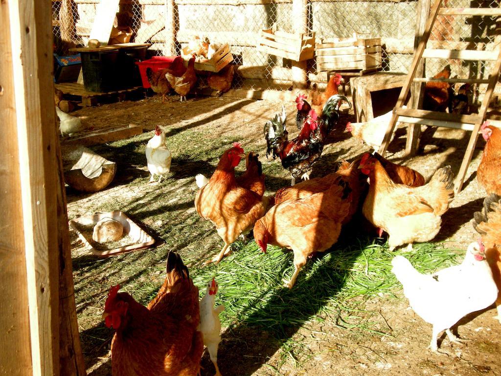 Agrihouse Βίλα Bracciano  Εξωτερικό φωτογραφία