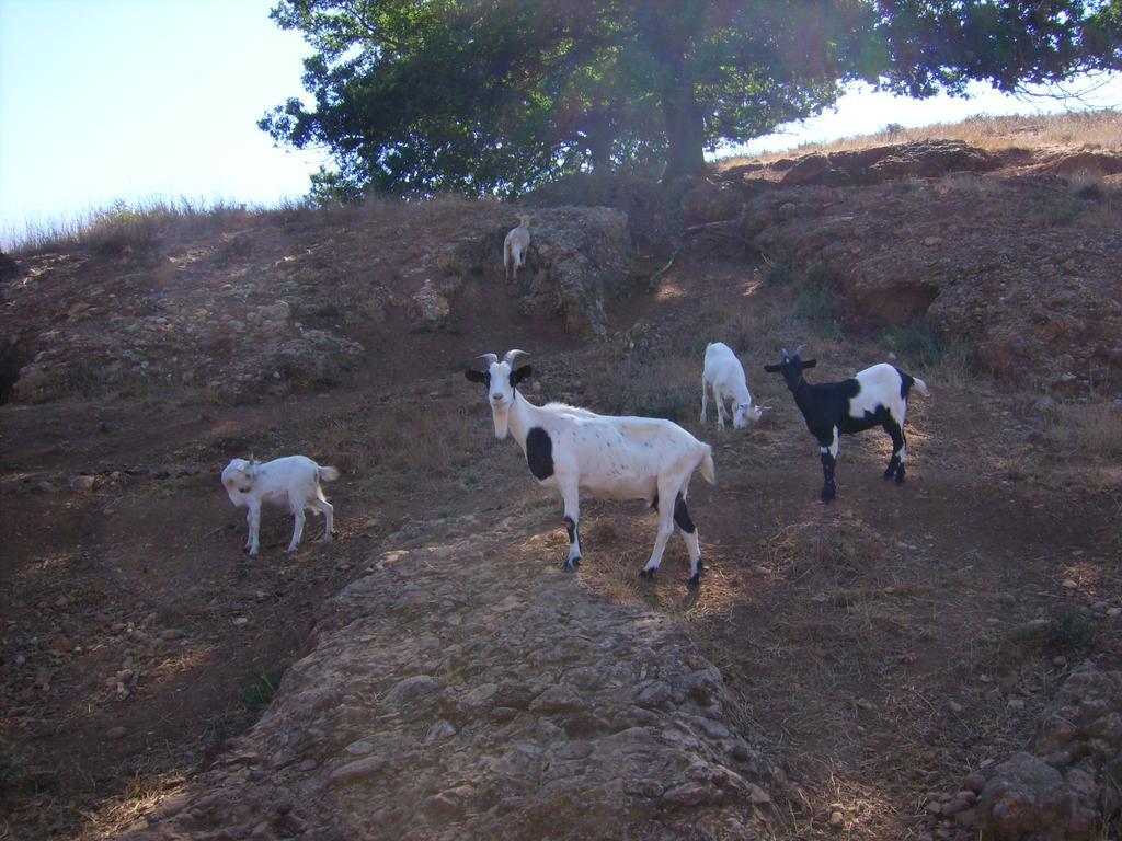 Agrihouse Βίλα Bracciano  Εξωτερικό φωτογραφία
