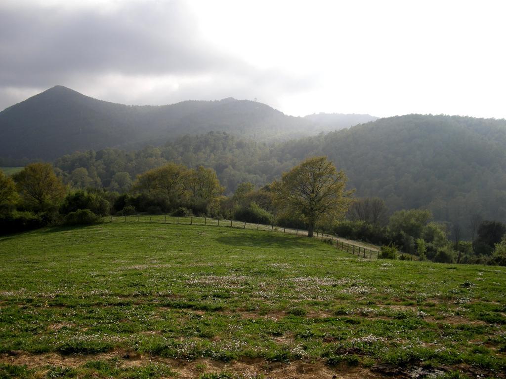 Agrihouse Βίλα Bracciano  Εξωτερικό φωτογραφία