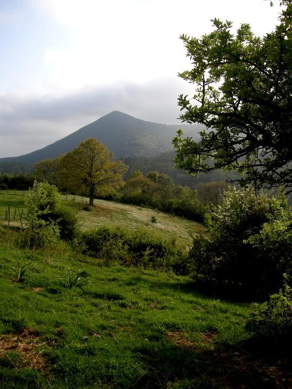 Agrihouse Βίλα Bracciano  Εξωτερικό φωτογραφία