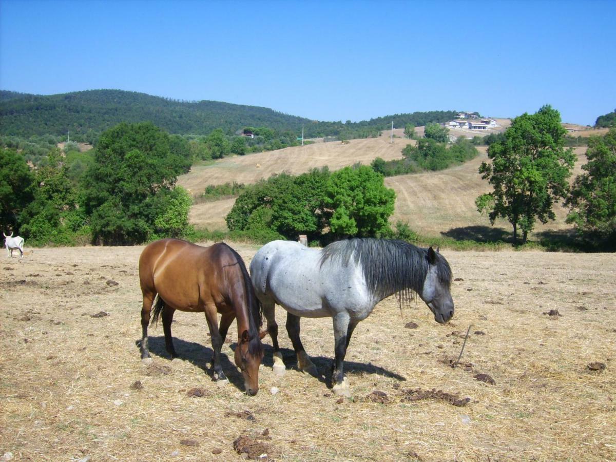 Agrihouse Βίλα Bracciano  Εξωτερικό φωτογραφία